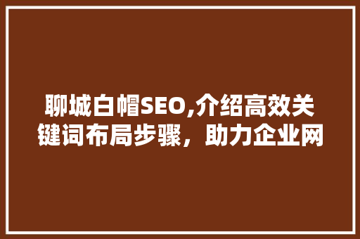 聊城白帽SEO,介绍高效关键词布局步骤，助力企业网站优化