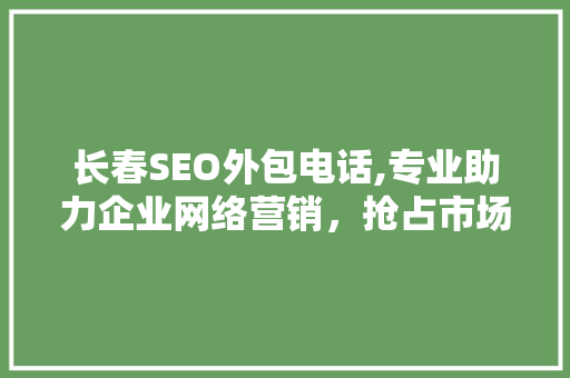 长春SEO外包电话,专业助力企业网络营销，抢占市场先机  第1张