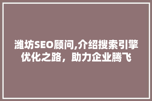 潍坊SEO顾问,介绍搜索引擎优化之路，助力企业腾飞