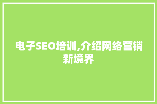 电子SEO培训,介绍网络营销新境界
