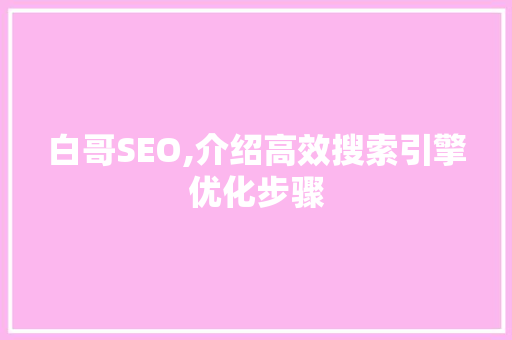 白哥SEO,介绍高效搜索引擎优化步骤