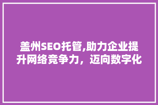盖州SEO托管,助力企业提升网络竞争力，迈向数字化未来