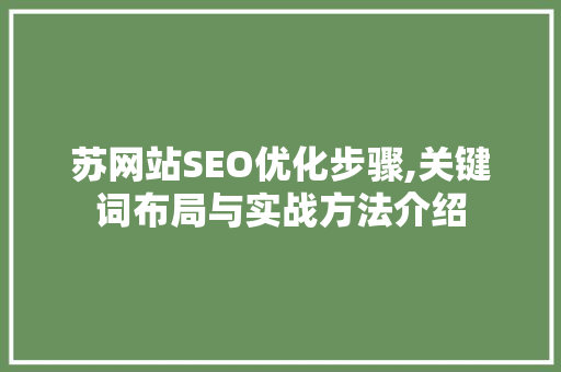 苏网站SEO优化步骤,关键词布局与实战方法介绍