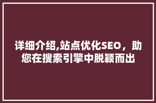 详细介绍,站点优化SEO，助您在搜索引擎中脱颖而出