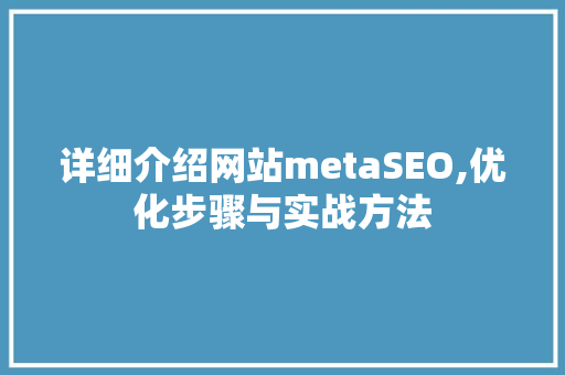 详细介绍网站metaSEO,优化步骤与实战方法
