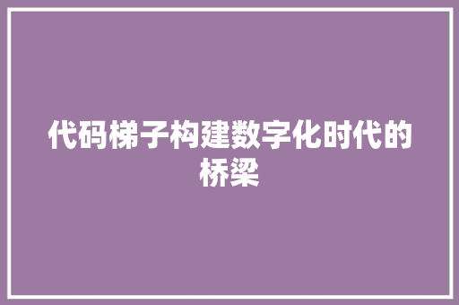 代码梯子构建数字化时代的桥梁