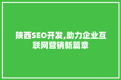 陕西SEO开发,助力企业互联网营销新篇章  第1张