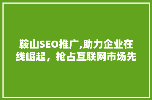鞍山SEO推广,助力企业在线崛起，抢占互联网市场先机