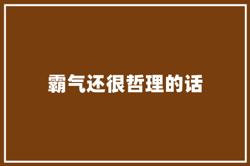 SEO修复黑帽,介绍优化误区，重拾搜索引擎信任之路