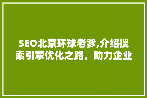 SEO北京环球老爹,介绍搜索引擎优化之路，助力企业腾飞