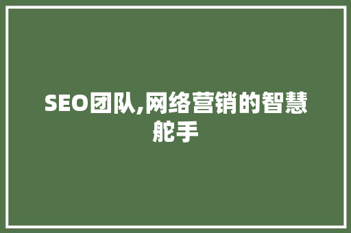 SEO团队,网络营销的智慧舵手