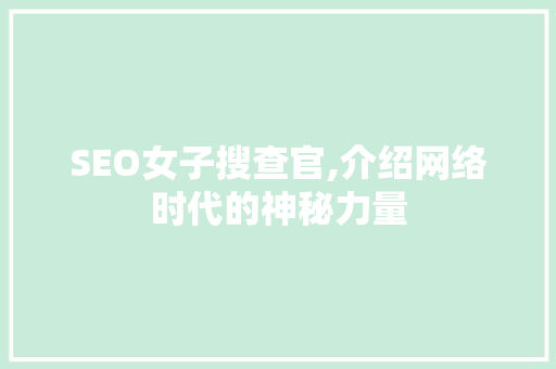 SEO女子搜查官,介绍网络时代的神秘力量