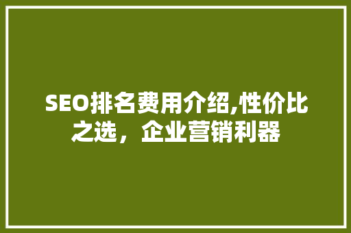 SEO排名费用介绍,性价比之选，企业营销利器