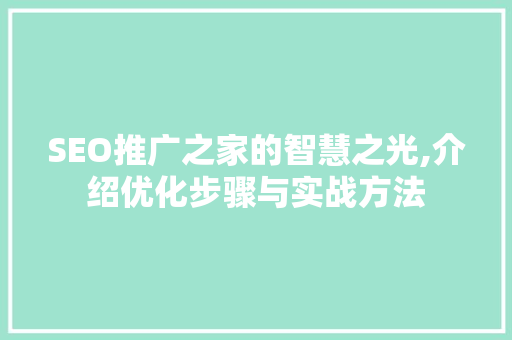 SEO推广之家的智慧之光,介绍优化步骤与实战方法