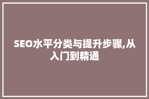 SEO水平分类与提升步骤,从入门到精通