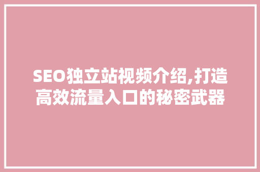 SEO独立站视频介绍,打造高效流量入口的秘密武器