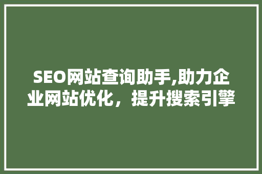 SEO网站查询助手,助力企业网站优化，提升搜索引擎排名