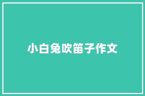 伞兵空中勇士的传奇之旅——伞兵代码背后的故事