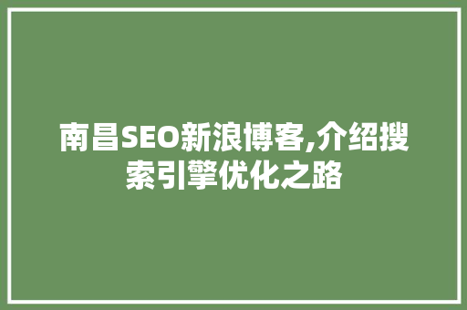 南昌SEO新浪博客,介绍搜索引擎优化之路