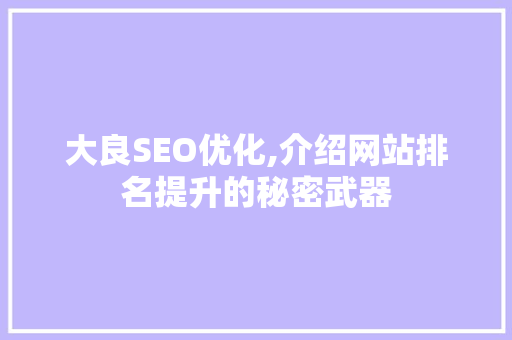 大良SEO优化,介绍网站排名提升的秘密武器