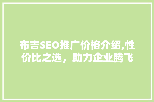 布吉SEO推广价格介绍,性价比之选，助力企业腾飞
