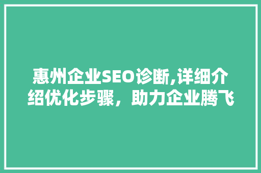 惠州企业SEO诊断,详细介绍优化步骤，助力企业腾飞