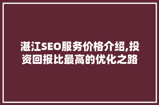 湛江SEO服务价格介绍,投资回报比最高的优化之路