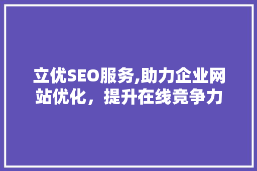 立优SEO服务,助力企业网站优化，提升在线竞争力