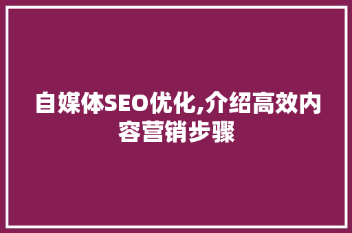 自媒体SEO优化,介绍高效内容营销步骤