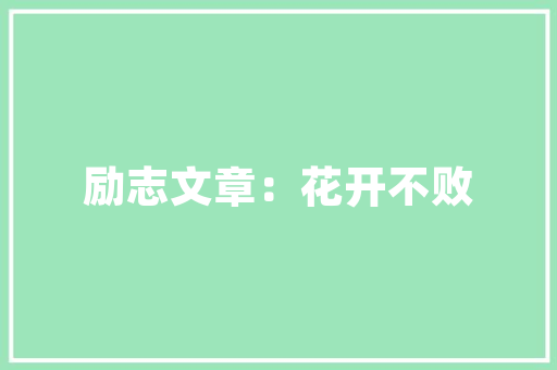 倒计时倒计时代码背后的奥秘与魅力