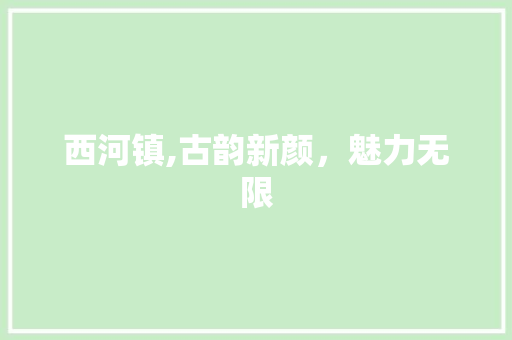 西河镇,古韵新颜，魅力无限