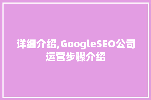 详细介绍,GoogleSEO公司运营步骤介绍