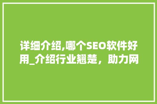 详细介绍,哪个SEO软件好用_介绍行业翘楚，助力网站优化