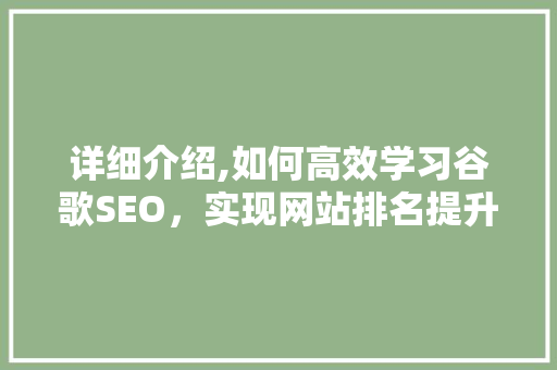 详细介绍,如何高效学习谷歌SEO，实现网站排名提升