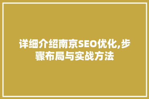 详细介绍南京SEO优化,步骤布局与实战方法
