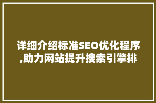 详细介绍标准SEO优化程序,助力网站提升搜索引擎排名