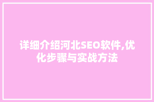 详细介绍河北SEO软件,优化步骤与实战方法