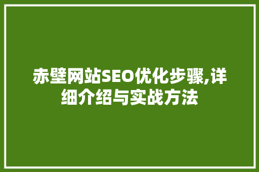 赤壁网站SEO优化步骤,详细介绍与实战方法
