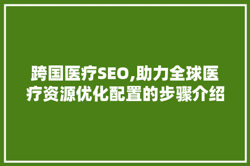 跨国医疗SEO,助力全球医疗资源优化配置的步骤介绍