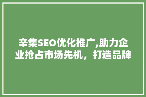 辛集SEO优化推广,助力企业抢占市场先机，打造品牌影响力  第1张