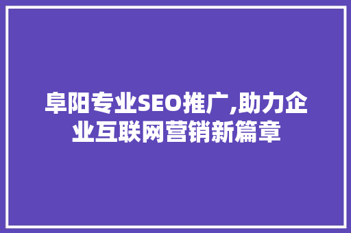 阜阳专业SEO推广,助力企业互联网营销新篇章