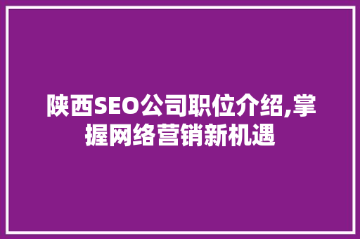 陕西SEO公司职位介绍,掌握网络营销新机遇
