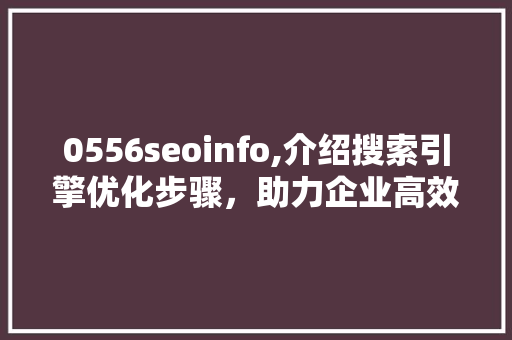 0556seoinfo,介绍搜索引擎优化步骤，助力企业高效提升网站排名