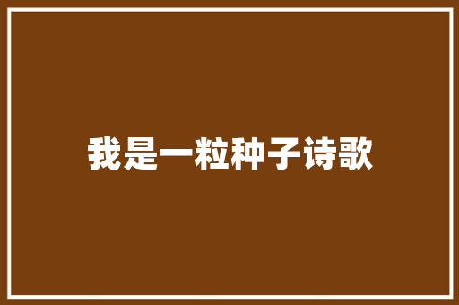兄弟国际一家引领行业发展的创新型企业  第1张