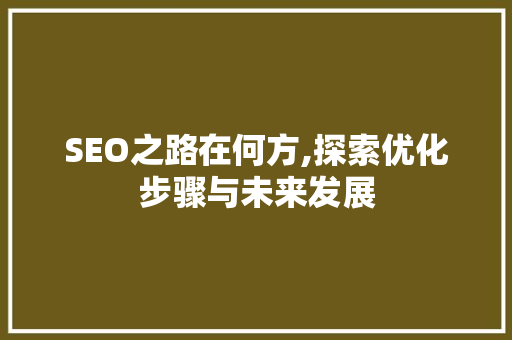 SEO之路在何方,探索优化步骤与未来发展