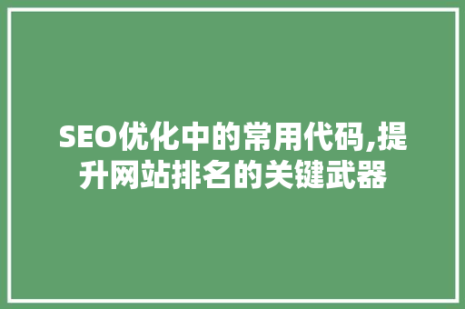 SEO优化中的常用代码,提升网站排名的关键武器