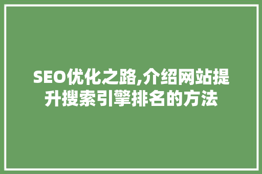 SEO优化之路,介绍网站提升搜索引擎排名的方法