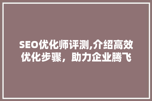 SEO优化师评测,介绍高效优化步骤，助力企业腾飞