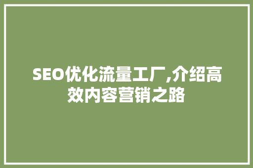 SEO优化流量工厂,介绍高效内容营销之路
