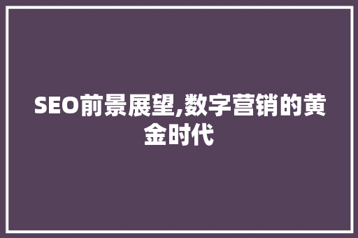 SEO前景展望,数字营销的黄金时代